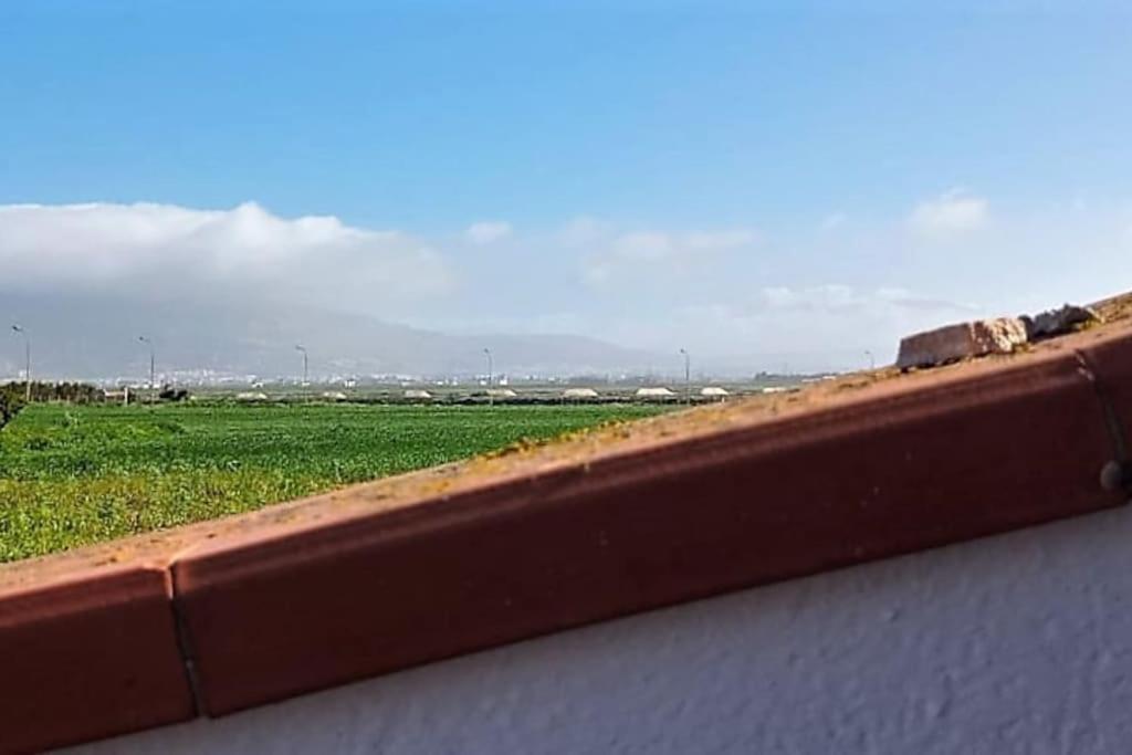 Cammini Di Sale Casa Vacanze Tra Le Saline Torre Nubia Bagian luar foto