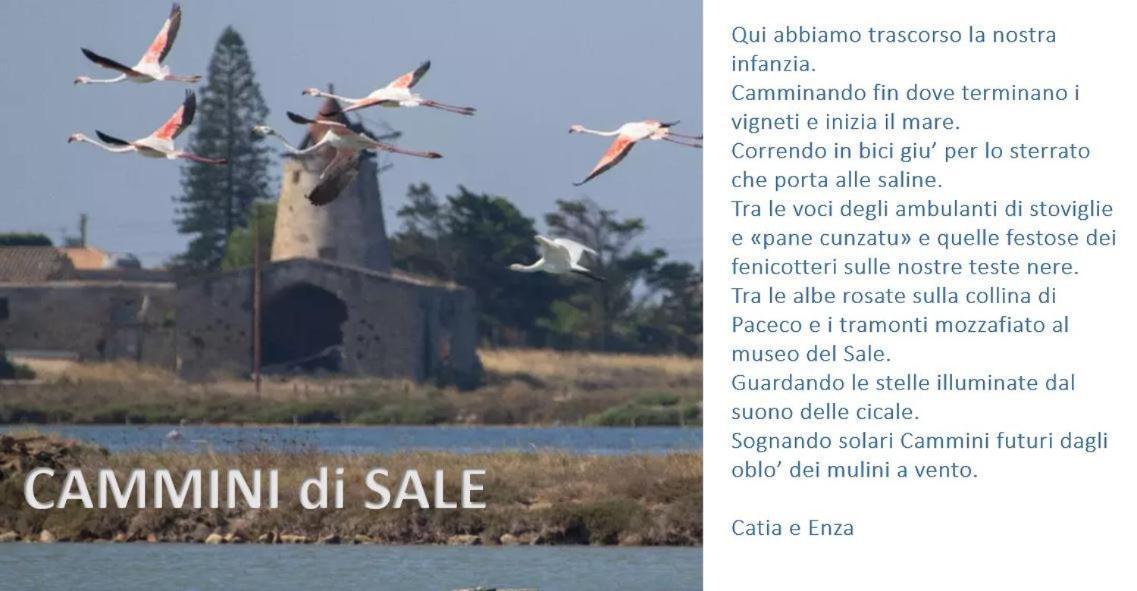 Cammini Di Sale Casa Vacanze Tra Le Saline Torre Nubia Bagian luar foto